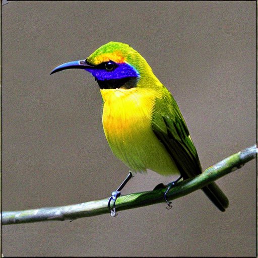 Sunbird